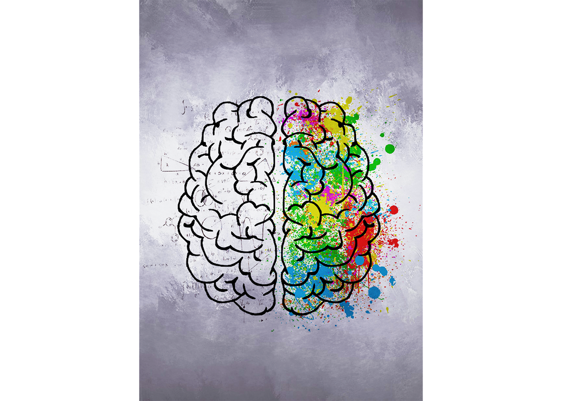 Полушария мозга. Левое полушарие мозга. Левое и правое полушарие мозга рисунок. Два полушария мозга. Творчество полушарие